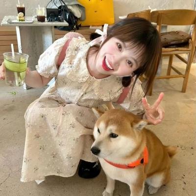 天网记
